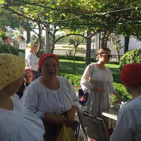 酒店 梅特科维奇酒店