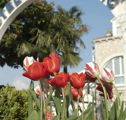 Hotel Metkovic 3* Metković