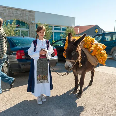 Hotel Metković Hotel Metkovic