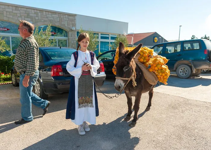 Hotel Metkovic מלון Metković